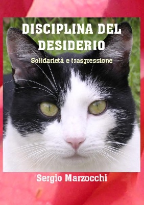 foto copertina