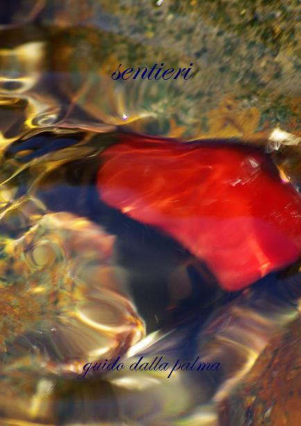 foto copertina