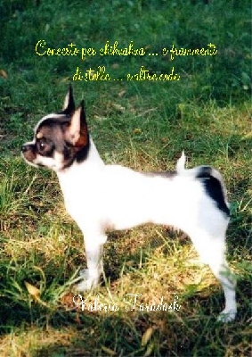 foto copertina