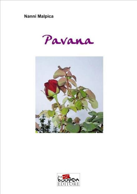 foto copertina