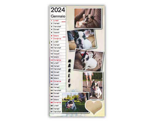 Calendario con foto animali layout