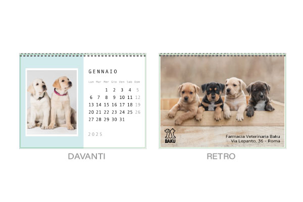 Calendari aziendali layout