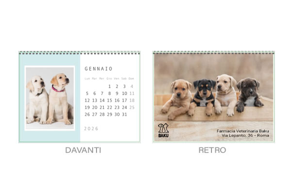 Calendari aziendali layout