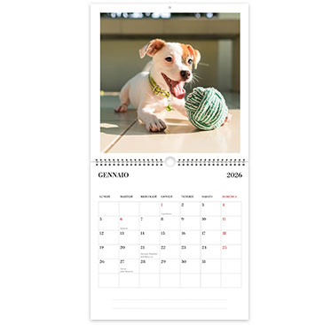 calendario 30x60
