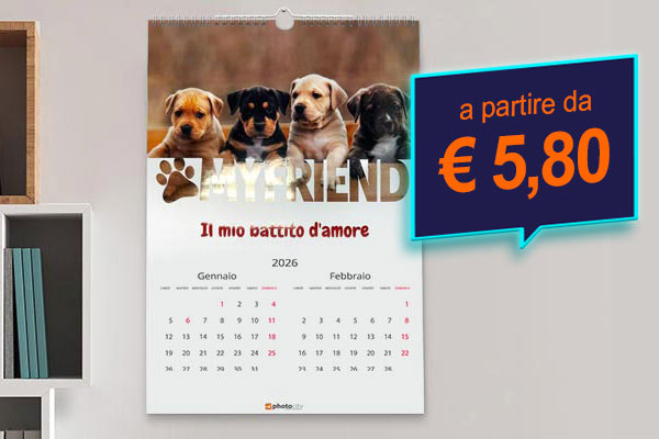 Offerta calendario brilliance 6 fogli