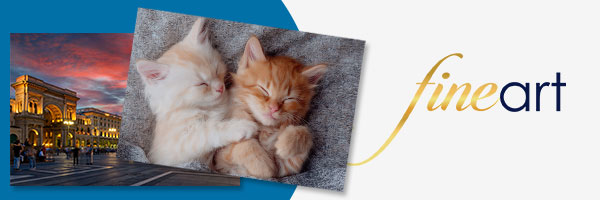 stampe fine art